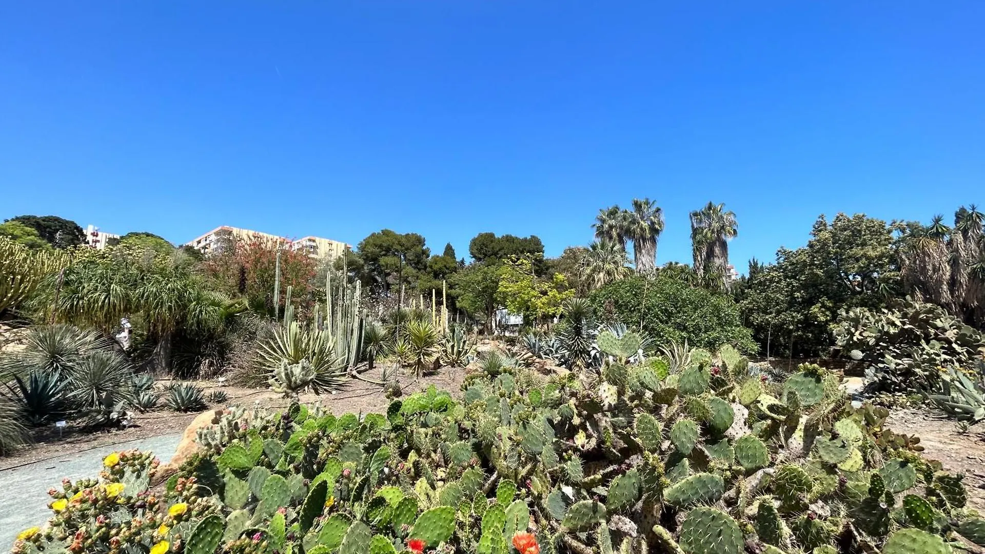 Acogedor Apartamento En Benalmadena Vistas Ισπανία